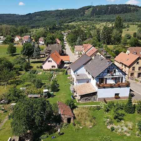 Le Nid De Cigognes Hotel Hengwiller Kültér fotó