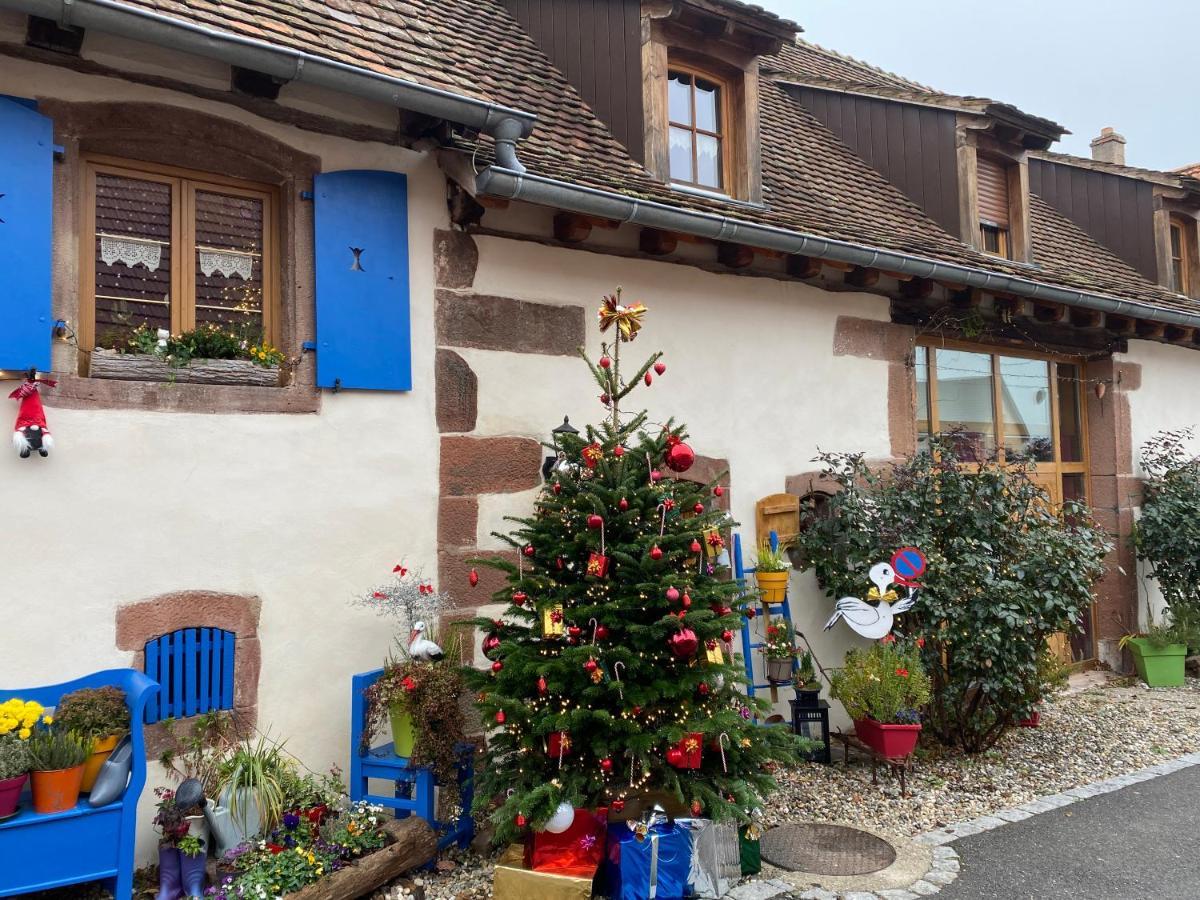 Le Nid De Cigognes Hotel Hengwiller Kültér fotó