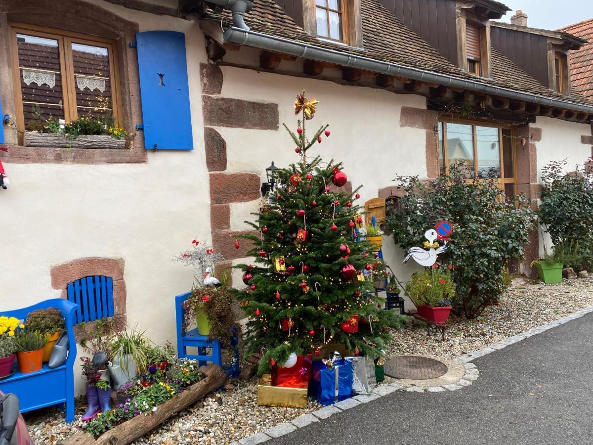Le Nid De Cigognes Hotel Hengwiller Kültér fotó