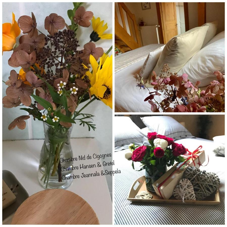 Le Nid De Cigognes Hotel Hengwiller Kültér fotó