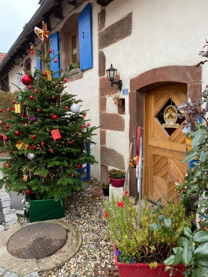 Le Nid De Cigognes Hotel Hengwiller Kültér fotó