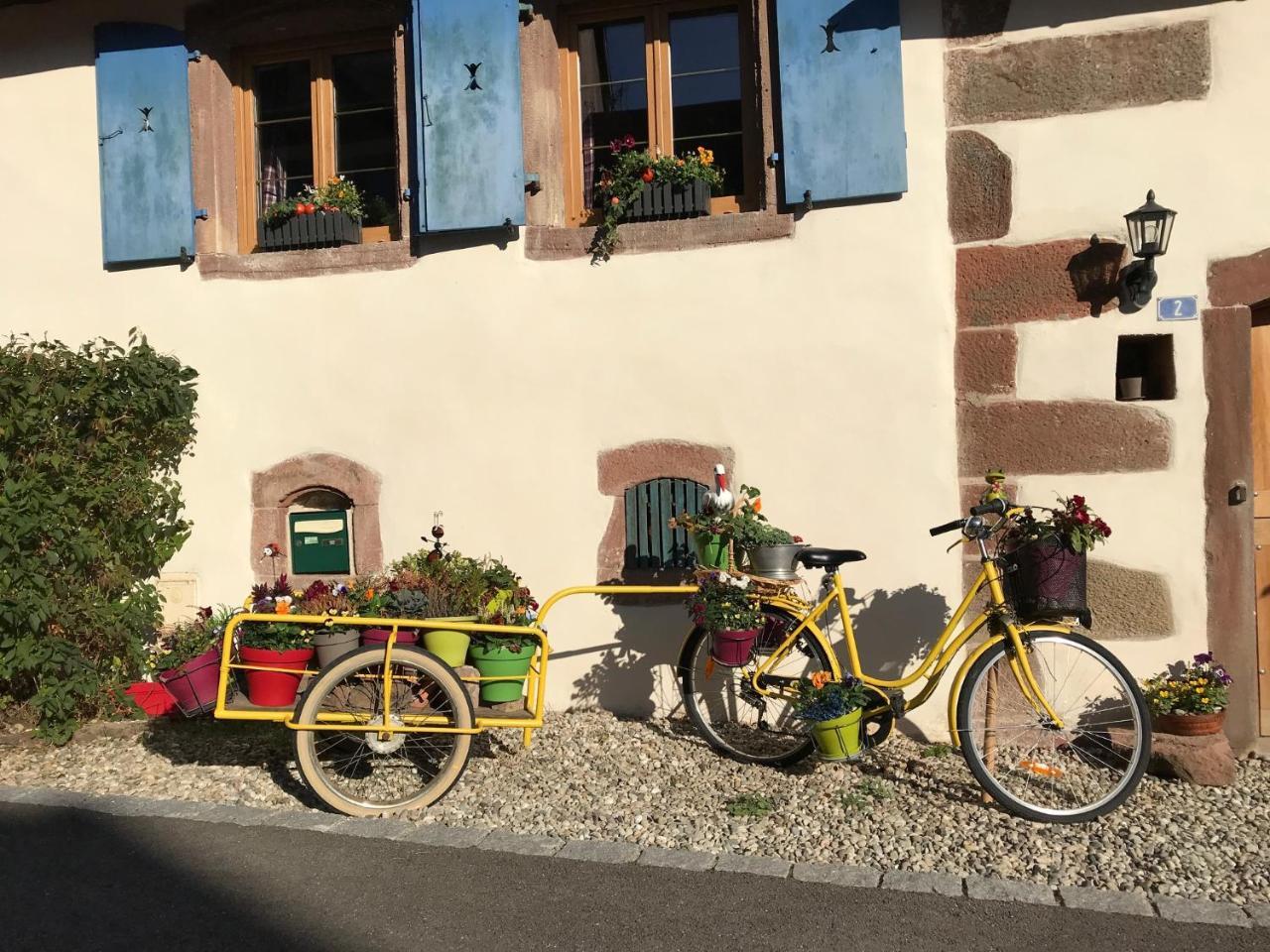 Le Nid De Cigognes Hotel Hengwiller Kültér fotó