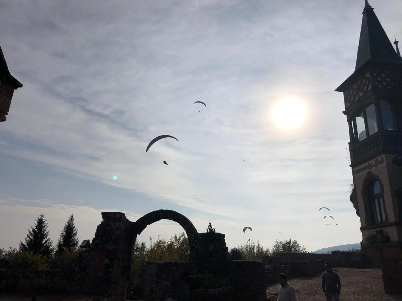 Le Nid De Cigognes Hotel Hengwiller Kültér fotó